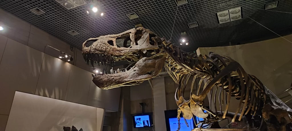 国立科学博物館のティラノサウルスの模型